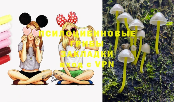 трава Володарск